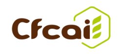 CFCAI